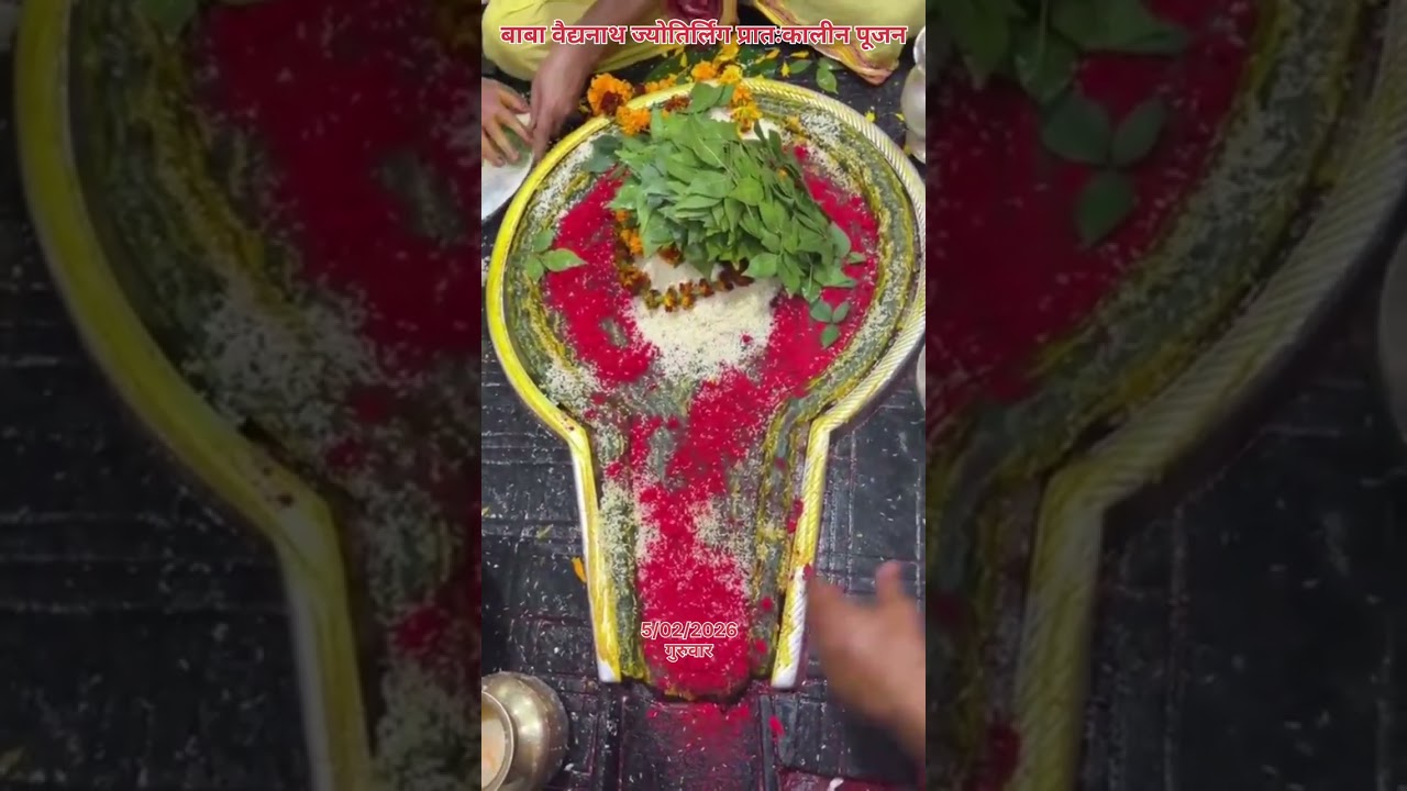 🌺🌿⚘️ बाबा वैद्यनाथ ज्योतिर्लिंग प्रातःकालीन पूजन 🌺🌿⚘️ 5/2/2026 #deoghar #babadham #bholenath #viral 
