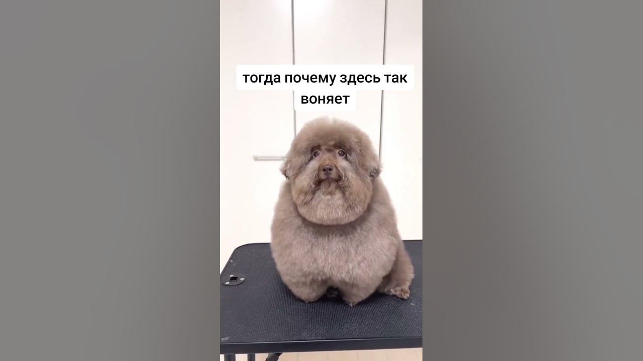 #ипучий - YouTube