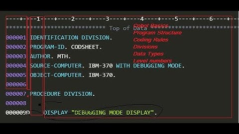 Class-4 | Mainframes | Mainframes Basics |@vitechtalks  Program Structure | Level Num|Data types