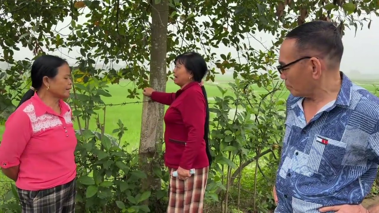 Mụ Minh Đứng Ra Nói Sẽ Trả Tiền Mừng Tuổi Của Bà Hảo Thay Cho Mụ Liên.Hảo Bắt Mụ Liên Về Xin Lỗi 