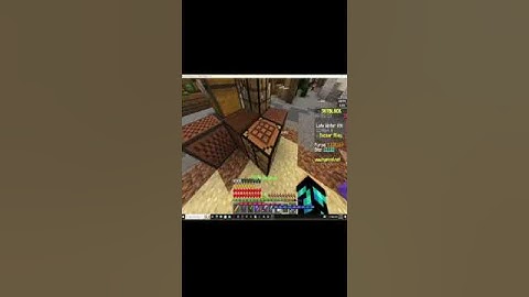 Minecraft hypixel skyblock best bazaar flip 1m coin profit