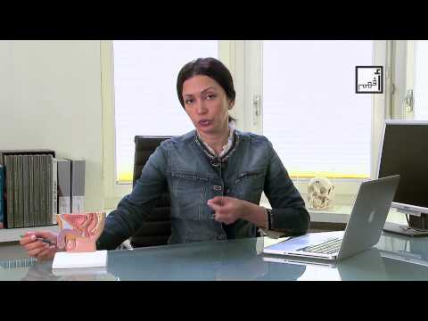 Alyaa Gad Erectile Dysfunction مشاكل الانتصاب 