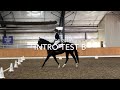 USDF INTRO TEST B 2019 - How to Ride