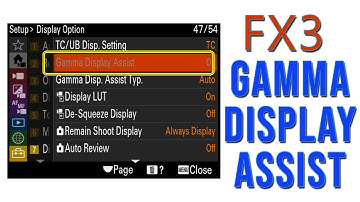 Yes you CAN use Gamma Display Assist on FX3!!  It
