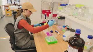 Maine's first accredited lab for testing PFAS is expanding to meet demand