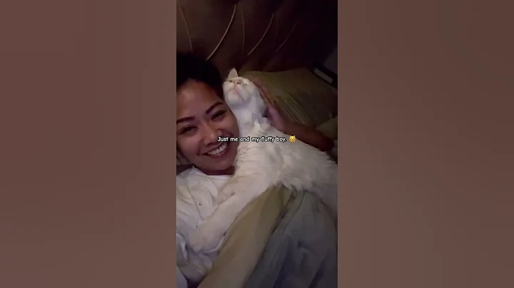 Watch the video about Cuddles and purrs — the best kind of moment💙🤍😻 #mainecoon #cat #pets #youtubeshorts #lifewithcats