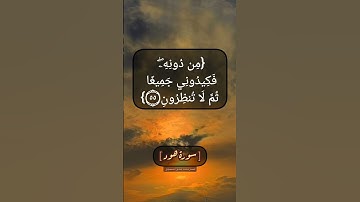 سورة هود الآية ٥٤ الى ٥٦ بصوت الشيخ محمد صديق المنشاوي