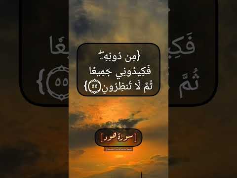 سورة هود الآية ٥٤ الى ٥٦ بصوت الشيخ محمد صديق المنشاوي 