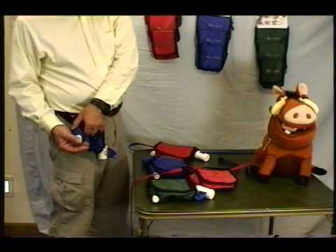 dog-poop-bags,-dog-training-bag,-dog-waste-bags