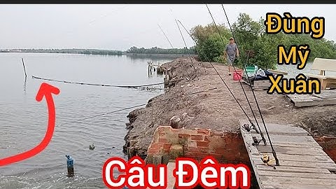 (Câu Đêm) Câu Tráp, Hanh Ngày cuối Nước/ Cá ăn rất Mạnh/Câu cá thiên nhiên