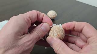Mouse Repellent Balls to Get Rid of Mice and Other Rodents