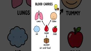The heart explained for kids ❤️ What's knocking inside your chest?