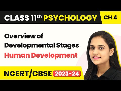 Class 11 Psychology Chapter 4 | Overview of Developmental Stages - Human Development