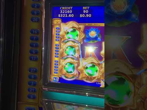 #dragonlink 11/18/2024 my first time Playing at #silverton casino