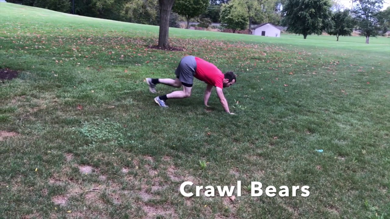 The Crawl Bear Exercise - YouTube