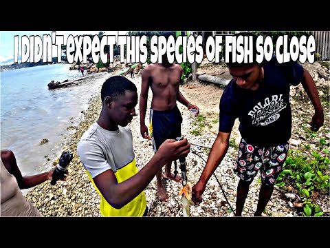 i didn't expect this species of fish so close