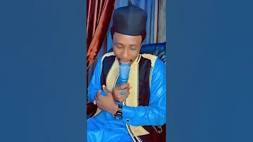 Sonkane Matsayi Zakidanyaya Kano 