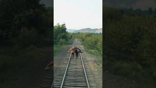 Download Lagu Cinema that marks a new era/ Asia Pacific Triennial MP3