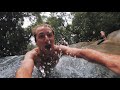 Wild Kiwi | Australia Adventure Tours