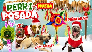 NUEVA PERRI POSADA OSO PIÑATEROKARAOKE PERRUNO ¡CON MI PERRITO SABANERO!  | Conny Merlin