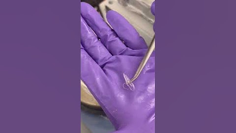 Swift 4-D printing with shape-memory polymers