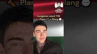 Hungarian word TÖK: pumpkin or slang? #hungarianlanguage #learnhungarian #polyglotjourney