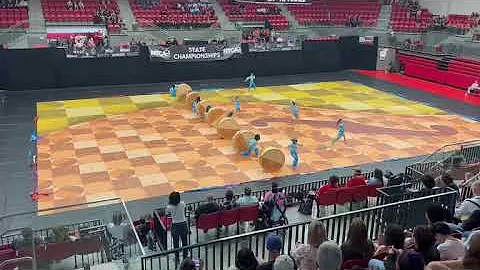 Timber Creek High School Winterguard 2025 - Yo-yo Mod