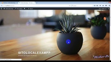 WordPress in locale con Xampp