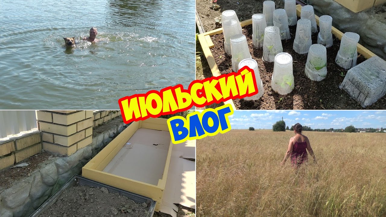 Дача в Подмосковье! Рассадочная грядка. Черенкование гортензий. Новый ...