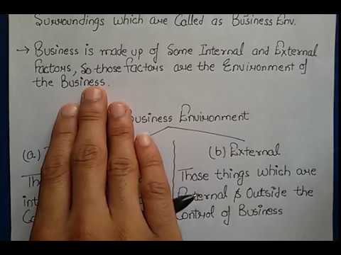 the meaning of business environment