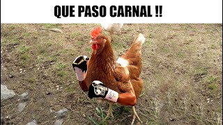 MEMES RANDOM #434