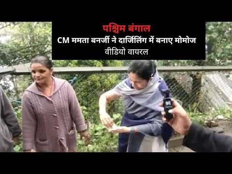Momo With Mamata : दार्जिलिंग में सड़क के किनारे सीएम ममता बनर्जी ने बनाए मोमोज, देखिए वायरल वीडियो