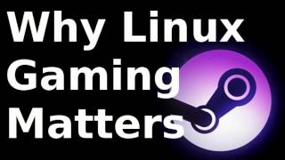 Why Linux Gaming Matters (even if you dont use it)