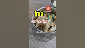 ăn cơm trưa các anh chị em ăn phòng thế nào #food #shorts #lemoncoder