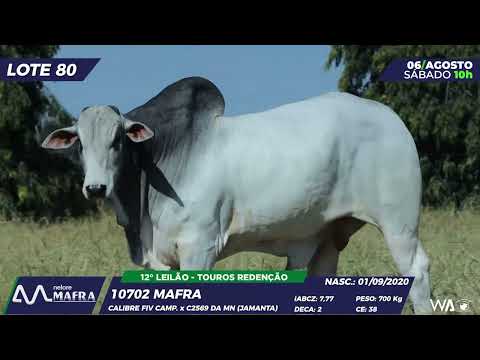 LOTE 80 MFRA 10702