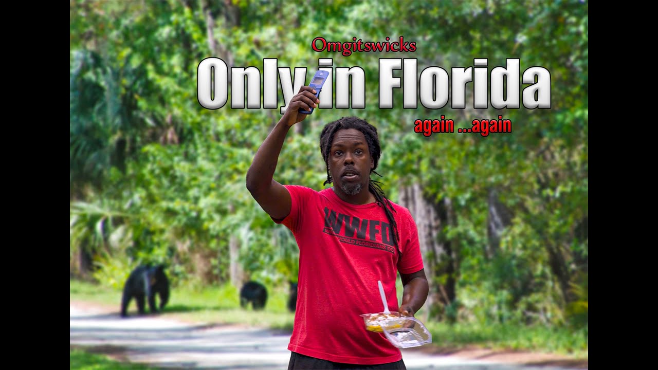 Only in Florida... Again. Again.