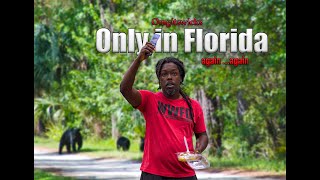 Celebrity Only in Florida... Again. Again. Net Worth