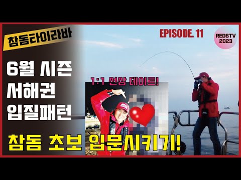 참돔타이라바 - 초보자 참돔 입문시키기! (6월 서해권 입질패턴)