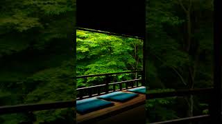 Cozy relax place with Rainfall #relaxationvibe