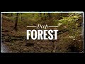 Deep forest | Sony A6000 and GoPro Hero 7 Black | Cinematic video