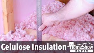 What are your thoughts on cellulose insulation vs foam