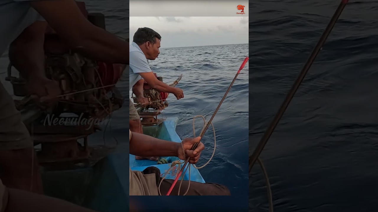 Catching King Fish in the Deep Sea