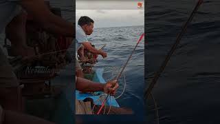 Catching King Fish in the Deep Sea