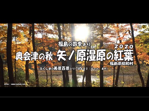 福島の四季より　Ｖｅｒ. 4Ｋ ～ 奥会津の秋２０２０　矢ノ原湿原の紅葉 ～