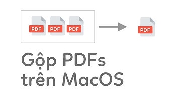 2 Cách gộp nhiều files PDF trên MacOS không cần cài thêm phần mềm