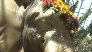 Jungle Paradise on display at Bellagio Conservatory all summer