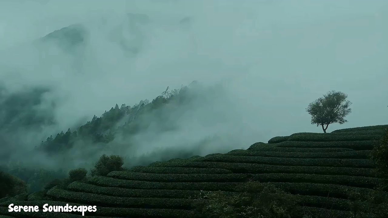 allow yourself to be still — (a playlist for quiet reflection) auf YouTube ansehen allow yourself to be still — (a playlist for quiet reflection) auf YouTube ansehen