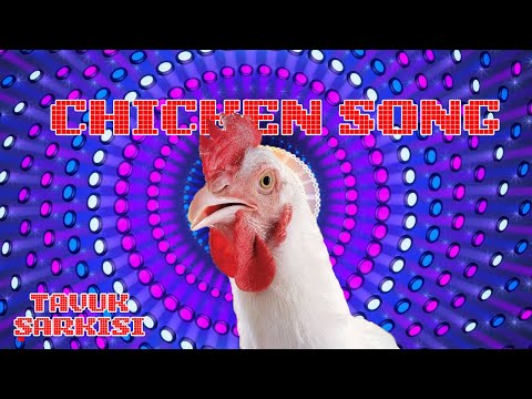 Chicken Song - Tavuk Şarkısı Tavuk Sesi Tavuk Videosu Tavuk Dansı