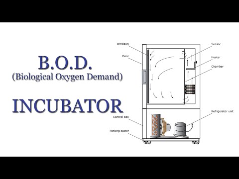 Video: ¿Cuál es el principio de BOD Incubator?