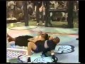 Best MMA knockout ever - Gary Goodridge destroys Paul Herrera